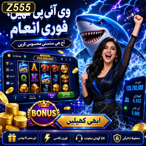 سبق: پاکستان میں ویڈیو گیمز کا ایک منفرد تعلیمی زمرہ